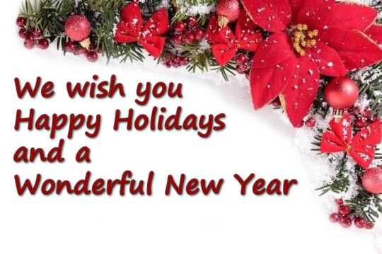 We-Wish-You-Happys-Holiday-And-A-Wonderful-New-Year-540x359.jpg