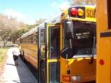 schoolbusses.jpg